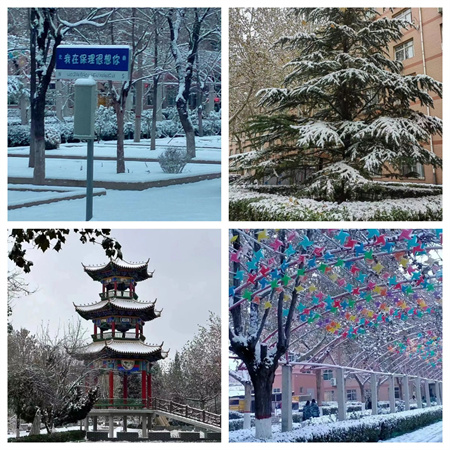 浴“雪”奮戰(zhàn)---藝術(shù)學(xué)院開展冬日“破冰行動(dòng)”