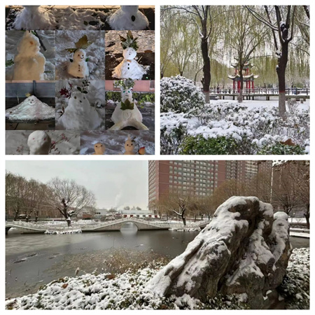 浴“雪”奮戰(zhàn)---藝術(shù)學(xué)院開展冬日“破冰行動(dòng)”