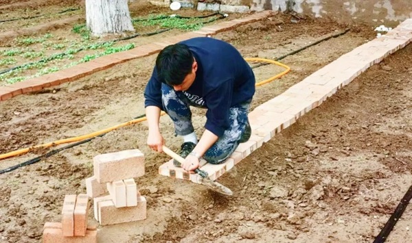 保定理工學(xué)院||管理學(xué)院||以勞育人樹新風(fēng) 筑夢(mèng)青春共成長(zhǎng)