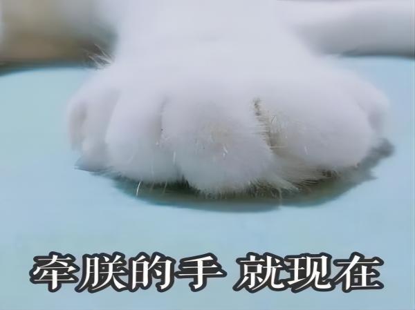 保定理工學院||管理學院||脆皮大學生急救指南